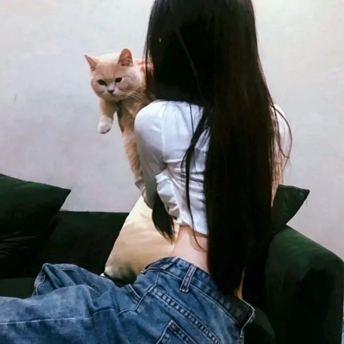 清醒梦2之疯狂快递